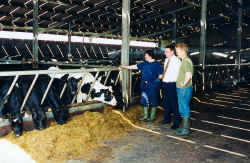 Slatted unit built in 1996