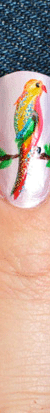 nails