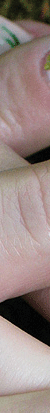 nails