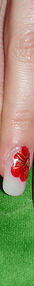 nails