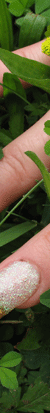 nails