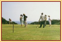 croquet1.jpg (7288 bytes)