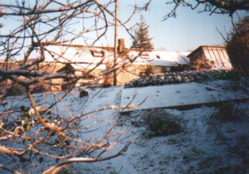 a rare snowy day on the farm 