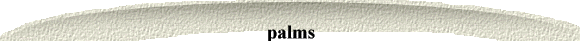 palms