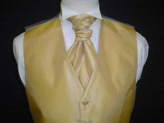Plain Gold with matching cravat
