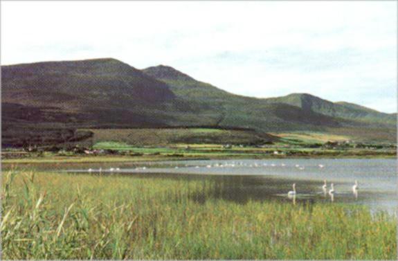 Benoskee Mountain
