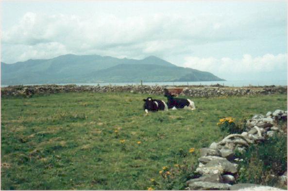 Scenery