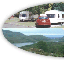 Beech Grove Caravan & Camping Park