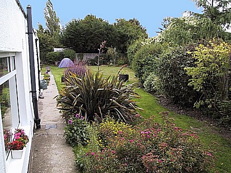 A view of the back garden