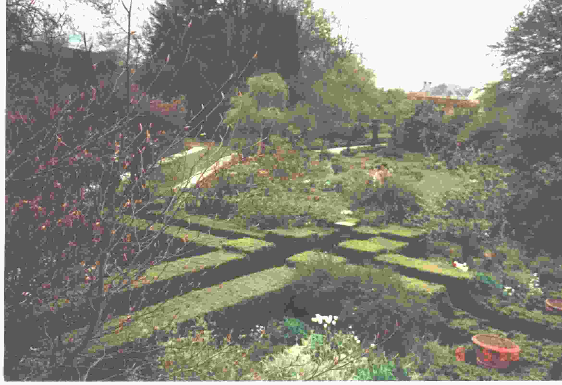 Butterstream Garden in May