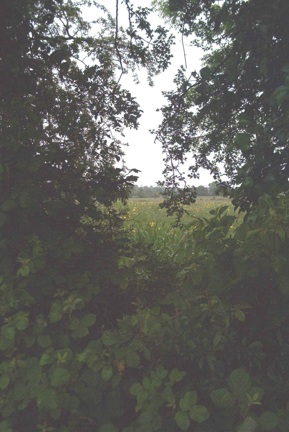 click on photo to enlarge 05