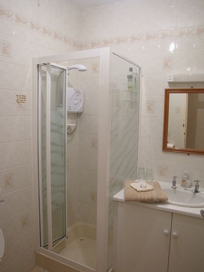 An ensuite shower in a guest bedroom.