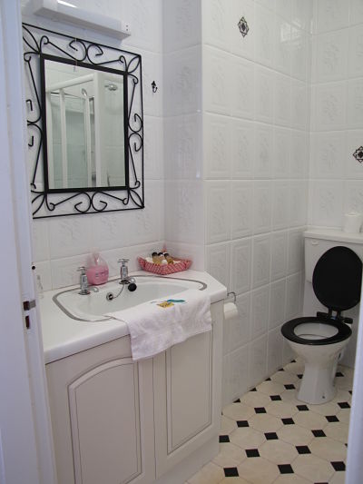 An ensuite shower in a guest bedroom.