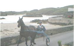 Mr Frank McHugh of Downstrands, and his horse, enjoying their spin along the Rosbeg coast
