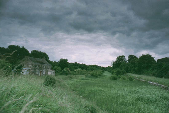 LDFoynesHarbour