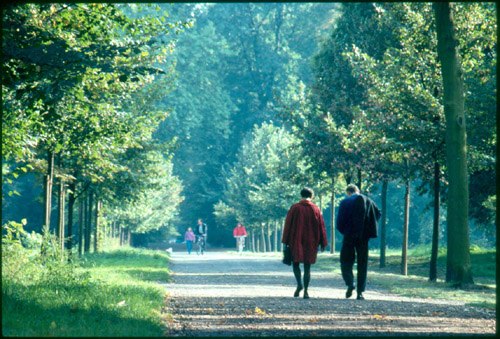 DDBerlinCburg.Park