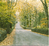 The road from Mount Leinster - popular for Hang Gliding