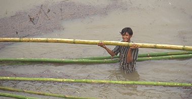 Kratie: Setting up a provisional bamboo boat to transport illegal logs down the river at night.