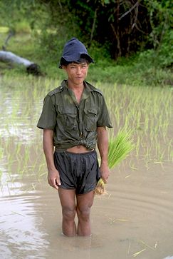 What was on the mind of this Rattanakiri farmer fighting for survival when he saw me tramping through his rice paddies?