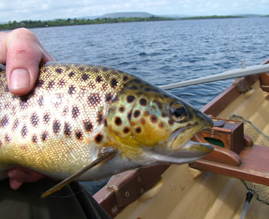  Fishing Connemara Trout