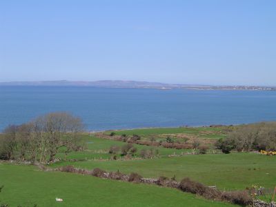 View from patio area