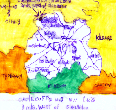 map_of_laois