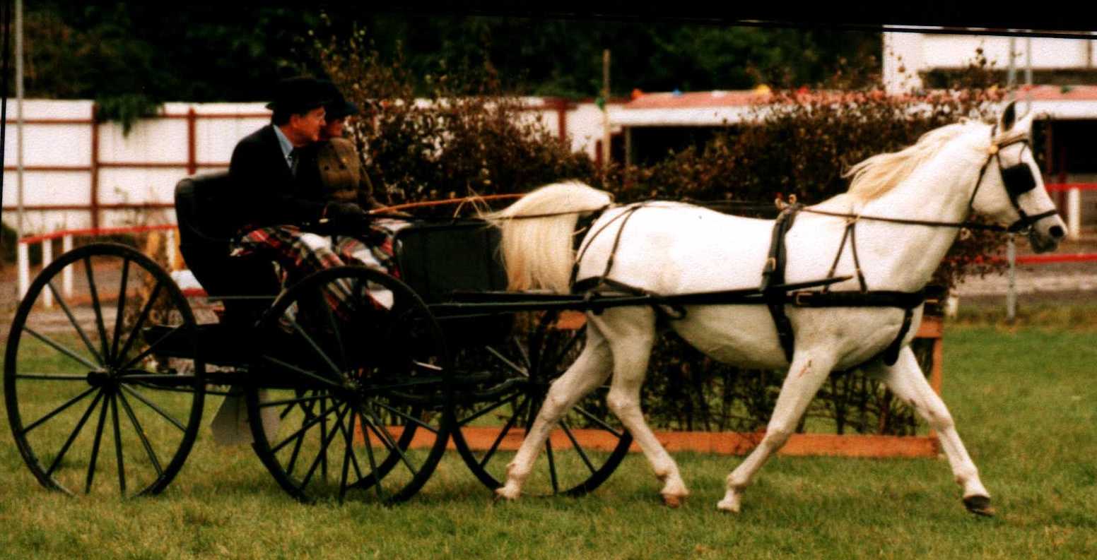 Bill & Sheila in Carriage