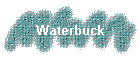 Waterbuck