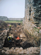 Archaeological digs at Tankardstown in 2004