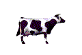 cowspin.gif (13494 bytes)