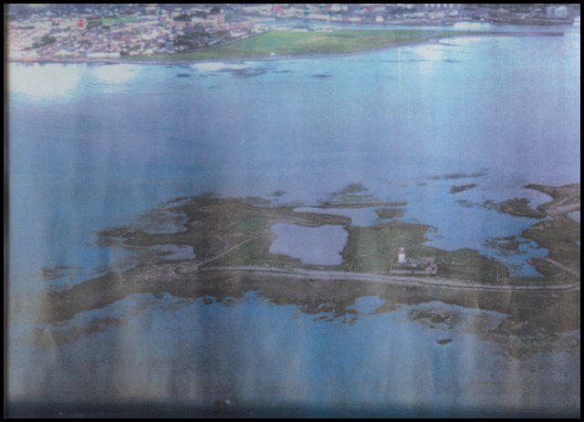 Mutton Island from the air