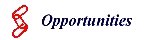 Opportunities button