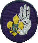 Scout Investiture Badge
