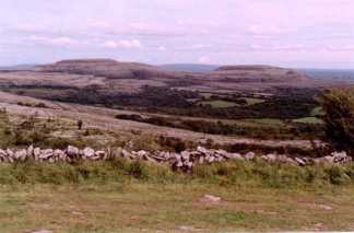 burren2sm.jpg (9137 bytes)