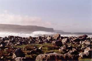 seaview1sm.jpg (8236 bytes)