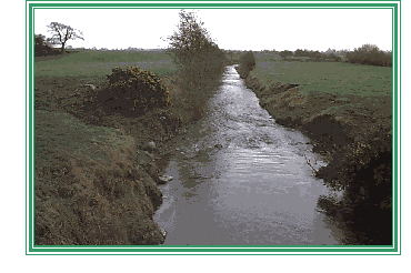 Stoneyford River