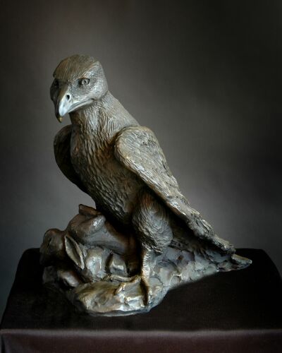 'Lord of the Skies'  €575  1/2 H34cm x L34cm x W20cm     (cold cast bronze)