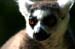 closeups (6)