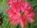 fgdns_may_03 (10)