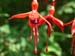 fgdns_may_03 (33)