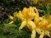 fgdns_may_03 (39)