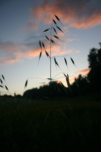 july04_ (6)