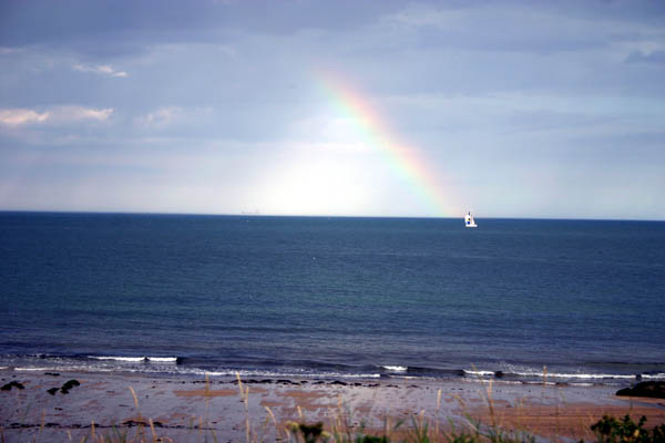 r_bay_reinbow