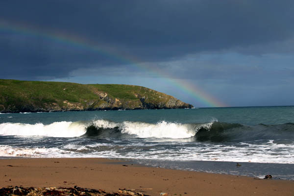 waves & Waves (76)