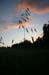 july04_ (6)