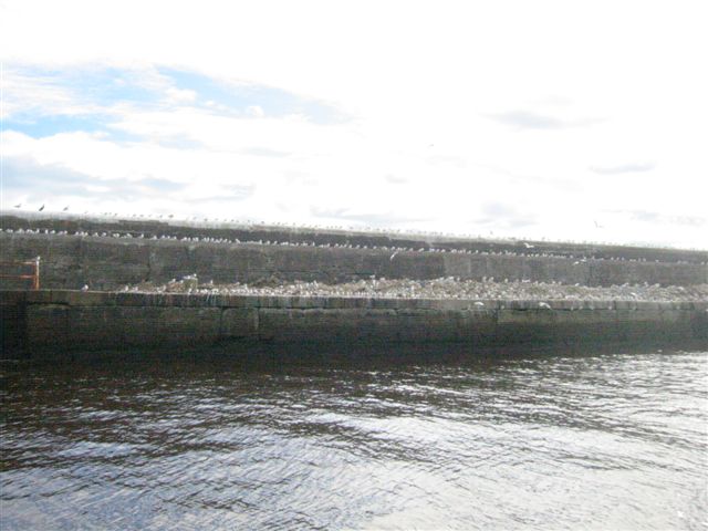 Thousands turn out to welcome SID to Arklow harbour