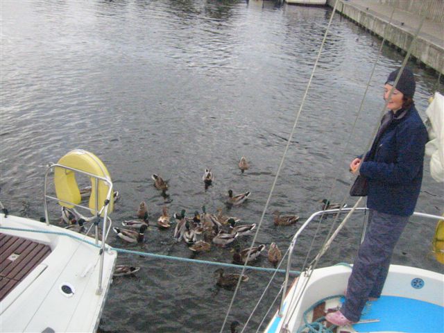 Feeding the ducks