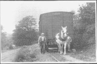 Bilko,Nuffy & Paddy taking a wagon to the train