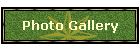 Photo Gallery