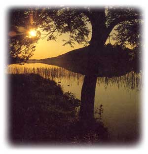 Lough Derravaragh